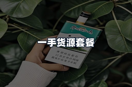 一手货源套餐